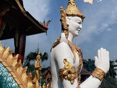 -西双版纳总佛寺