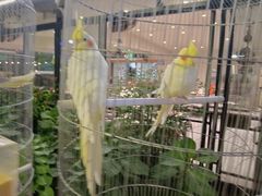 -蘇河湾·新鲁菜·泰山宴(泰山店)