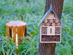 -东怡大酒店(上海科技馆店)