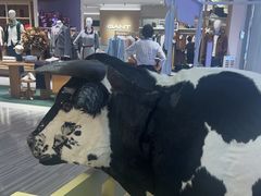 -红星前进面包牛奶公司(君太店)