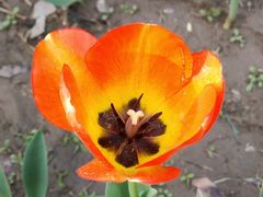 -廊坊文化艺术中心