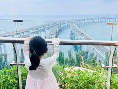 -星海湾跨海大桥