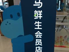 -盒马鲜生(大成店)