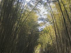 -同里国家湿地公园