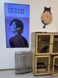 -P.STYLE 派斯造型