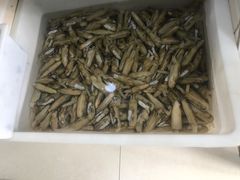 -宾朋海鲜美食餐厅·特色美食(兴海路店)