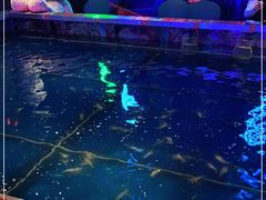 -钳真多钓虾馆·小龙虾海鲜烧烤(九六广场店)
