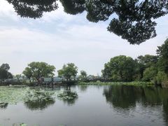 -无锡蠡湖国家湿地公园-蠡园