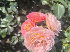 -人民公园(罗湖区)