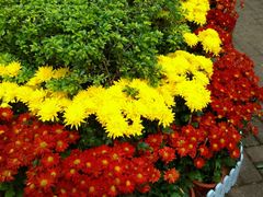 -人民公园(罗湖区)