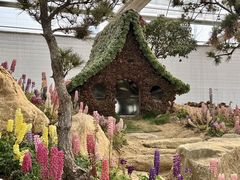 -沂蒙云瀑洞天景区