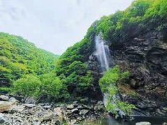 -少华山国家森林公园