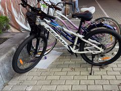 -道路口单车爱瓦士dahon大行