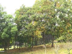 -白鹭湾湿地公园