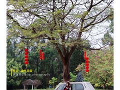 -南沙蒲洲花园