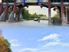 -济南百里黄河风景区