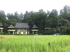 -四季酒店下午茶
