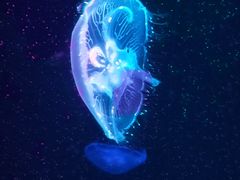 -台州海洋世界