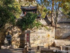 -趵突泉景区