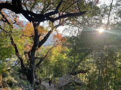 -塔川景区