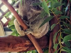 -费瑟代尔野生动物园