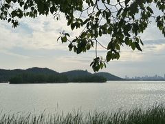 -东湖落雁景区