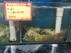 -蚝专家(北滘店)