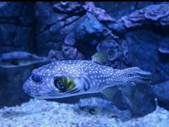 -成都浩海立方海洋公园