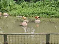 -扬州市茱萸湾风景区