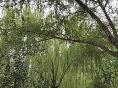 -元大都城垣遗址公园