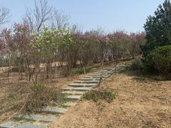 -马家湾湿地公园