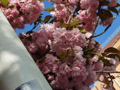 -芳芳餐厅(白沙路店)