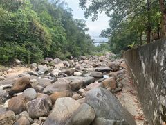 -海南热带雨林国家公园吊罗山景区