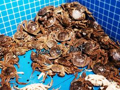 河蟹-乔哥铭洋海鲜自助(皇城恒隆广场店)