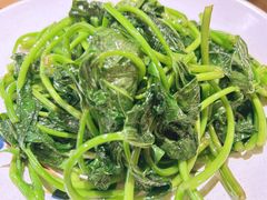 清炒红薯叶-董厨煨汤馆(车站路店)