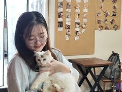 -楼上猫咖(罗湖店)