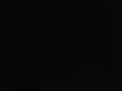 -新侗家食府(蟠桃宫店)