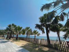 -大梅沙海滨公园