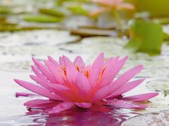 -南通洲际绿博园