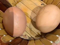 -鼎原力量东北吊炉烧烤(临河街店)