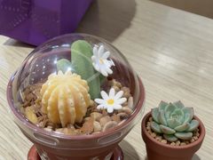 -GANSO元祖食品(金菊路店)