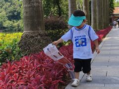 -星湖旅游景区七星岩