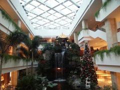 -白天鹅宾馆-宏图府餐厅