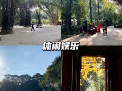 -望江楼公园