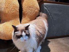 -咖法森林·咖啡  酒吧(天河店)