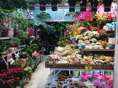 -三旗百汇商品城