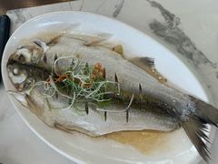 清蒸白鱼-蟹天蟹地农家菜·阳澄湖大闸蟹(浅水湾店)