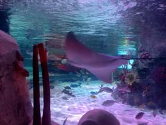 -沈阳海洋探索中心