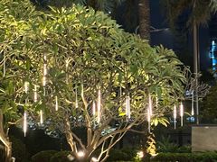 -广交会威斯汀酒店