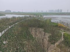 -天津东丽湖风景区